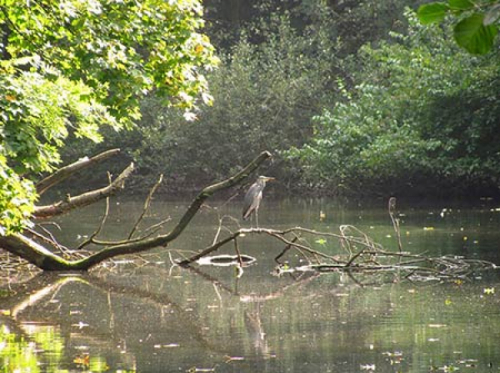 Volksfest an den Grummer Teichen 2026 (in Planung)